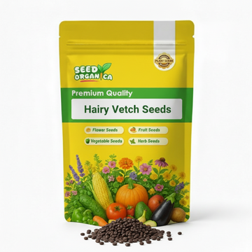 Hairy Vetch Seeds