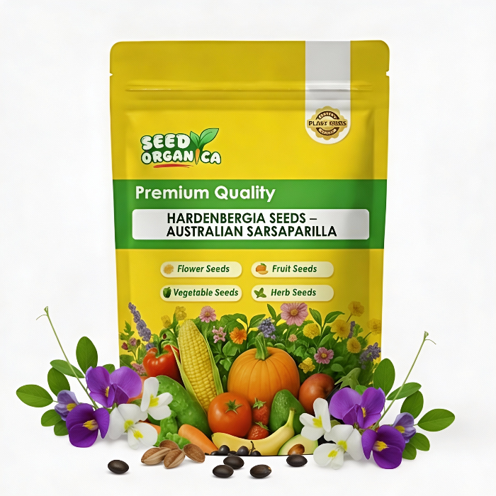 Hardenbergia Seeds – Australian Sarsaparilla