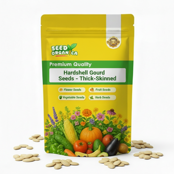 Hardshell Gourd Seeds – Thick-Skinned