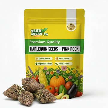 Harlequin Seeds – Pink Rock