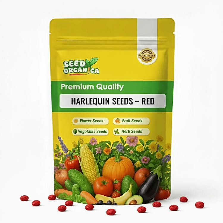 Harlequin Seeds – Red