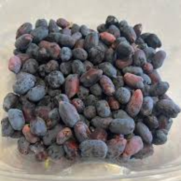 Haskap berry Seeds