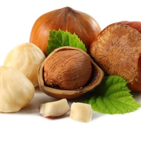 Hazelnut Seeds – European 
