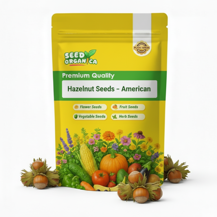 Hazelnut Seeds – American