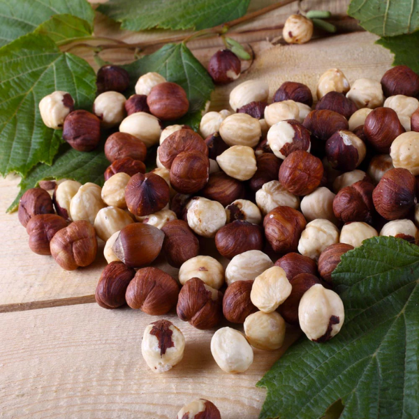 Hazelnut Tree Seeds - American (Filbert)
