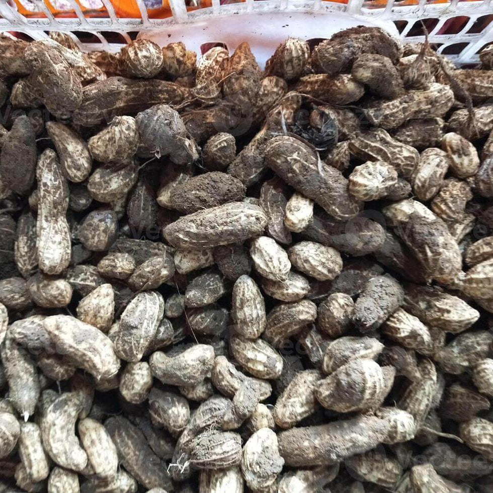 Heirloom Peanut Seeds For Planting