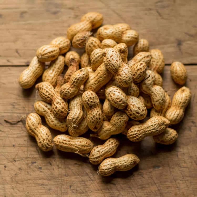 Heirloom Peanut Seeds For Planting