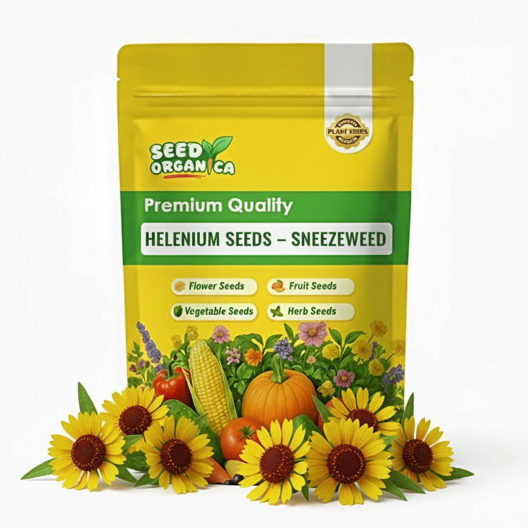 Helenium Seeds – Sneezeweed