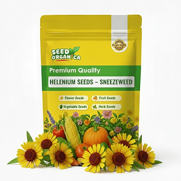 Helenium Seeds – Sneezeweed
