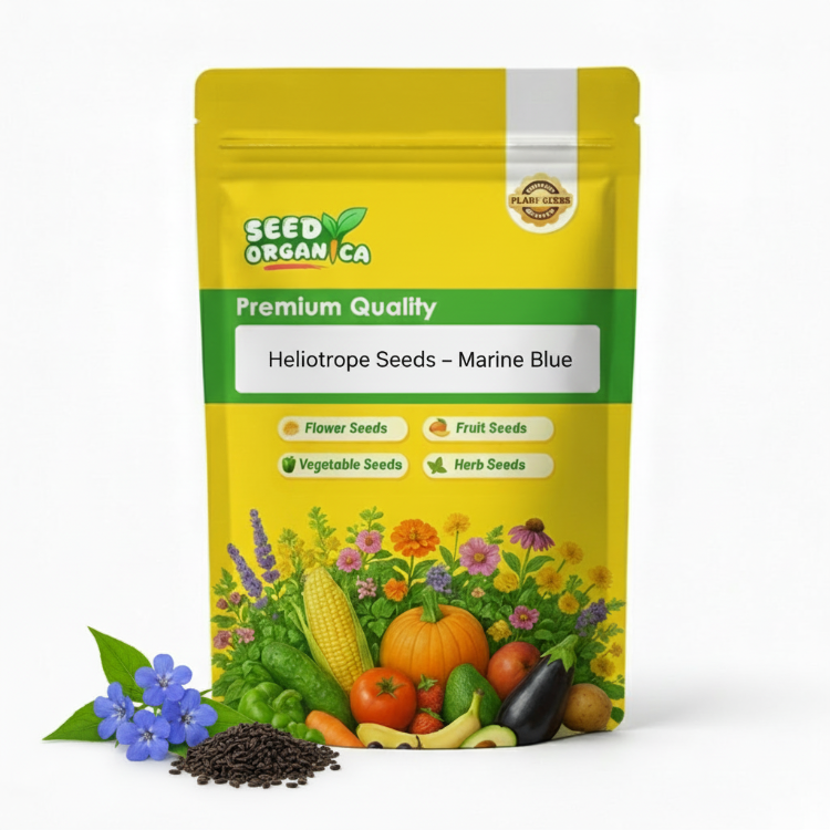 Heliotrope Seeds – Marine Blue