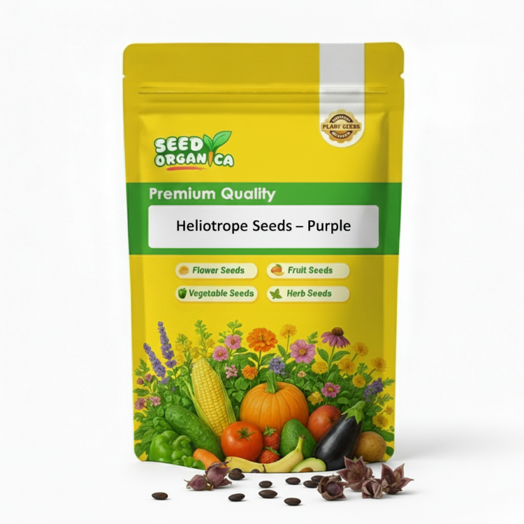 Heliotrope Seeds – Purple