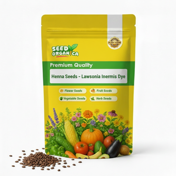 Henna Seeds – Lawsonia Inermis Dye