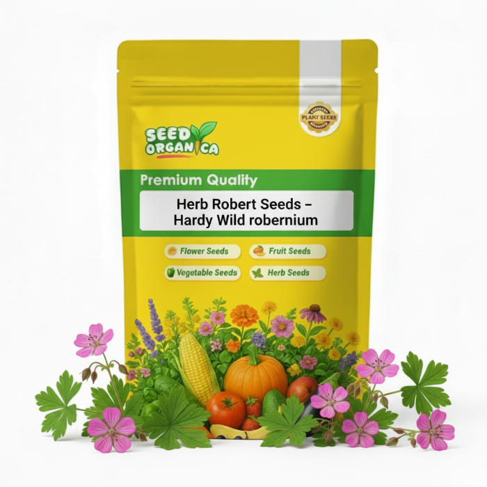 Herb Robert Seeds – Hardy Wild Geranium