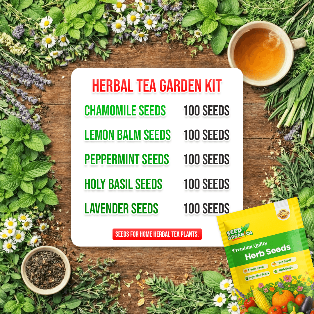 Herbal Tea Garden Kit
