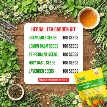 Herbal Tea Garden Kit