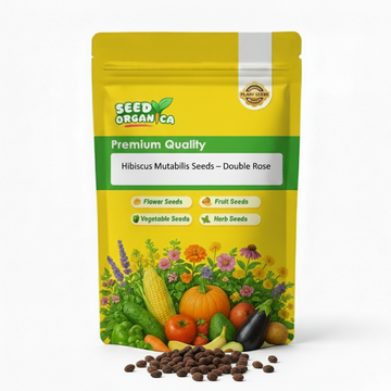 Hibiscus Mutabilis Seeds – Double Rose 