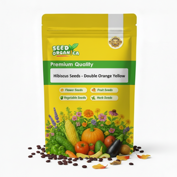 Hibiscus Seeds - Double Orange Yellow