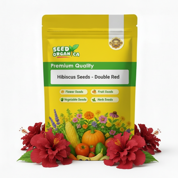 Hibiscus Seeds - Double Red