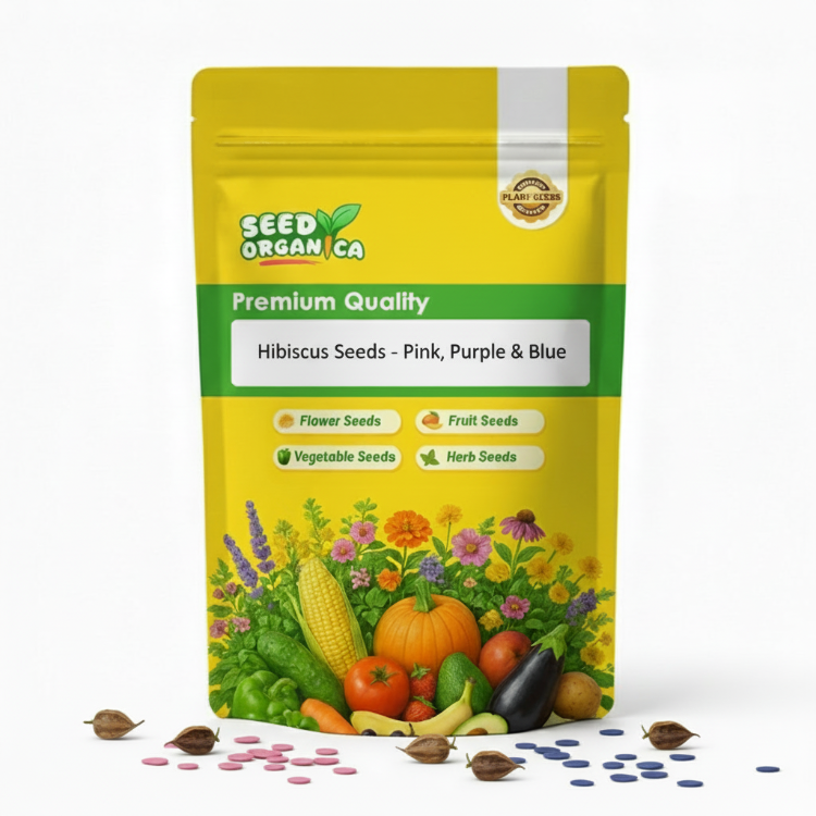 Hibiscus Seeds - Pink, Purple & Blue