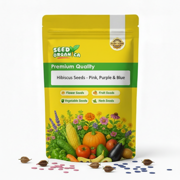 Hibiscus Seeds - Pink, Purple & Blue
