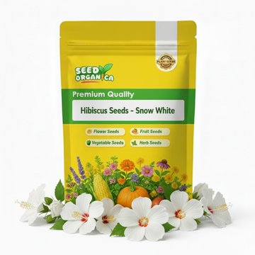 Hibiscus Seeds - Snow White