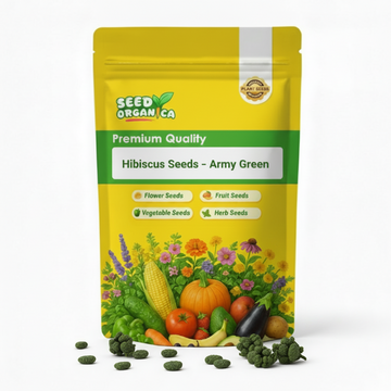 Hibiscus Seeds – Army Green