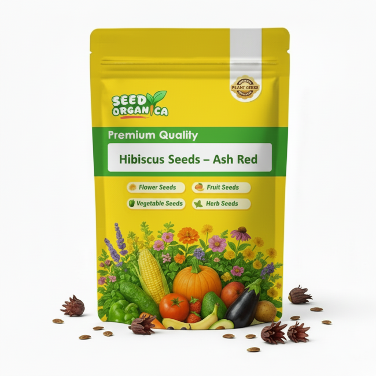 Hibiscus Seeds – Ash Red