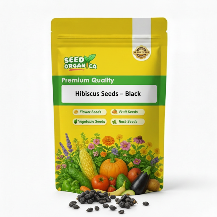 Hibiscus Seeds – Black