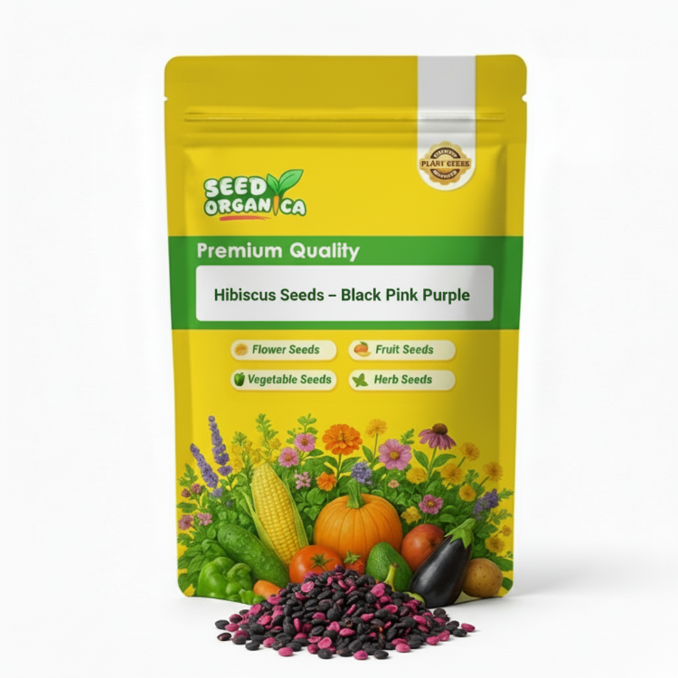 Hibiscus Seeds – Black Pink Purple