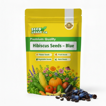 Hibiscus Seeds – Blue