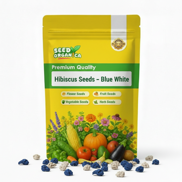 Hibiscus Seeds – Blue White
