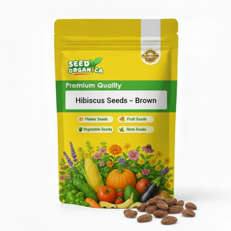 Hibiscus Seeds – Brown