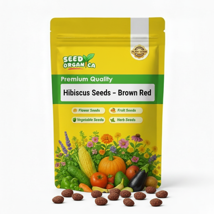 Hibiscus Seeds – Brown Red