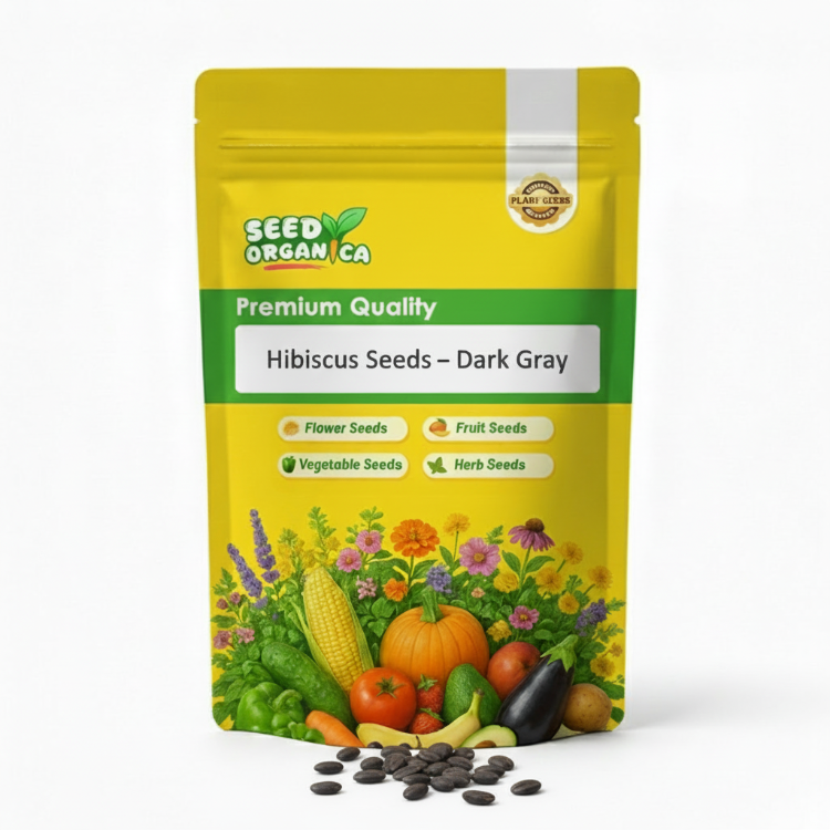 Hibiscus Seeds – Dark Gray