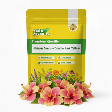 Hibiscus Seeds – Double Pink Yellow