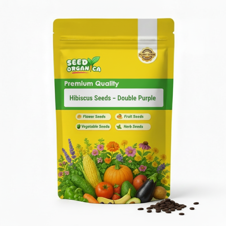 Hibiscus Seeds – Double Purple