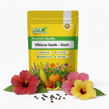 Hibiscus Seeds – Giant