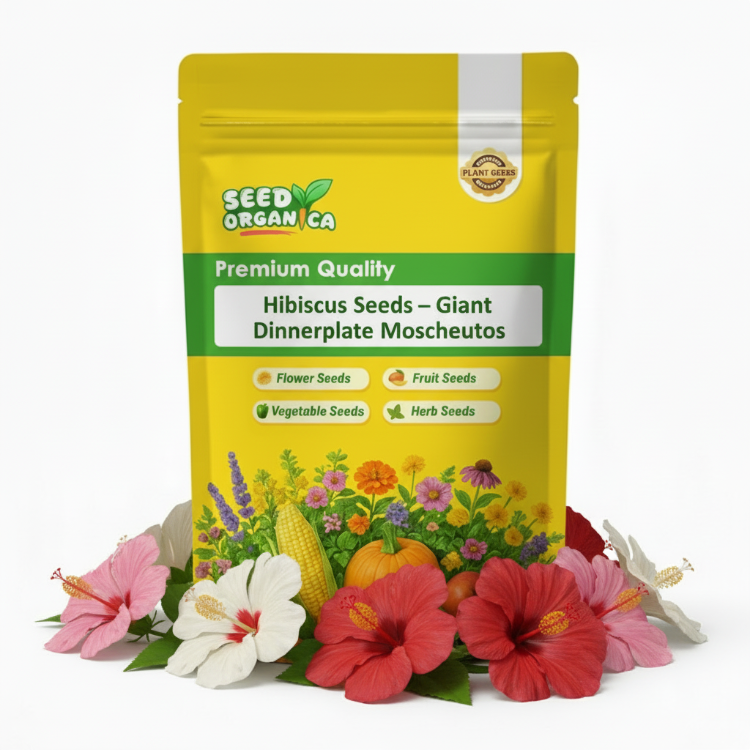 Hibiscus Seeds –  Giant Dinnerplate Moscheutos