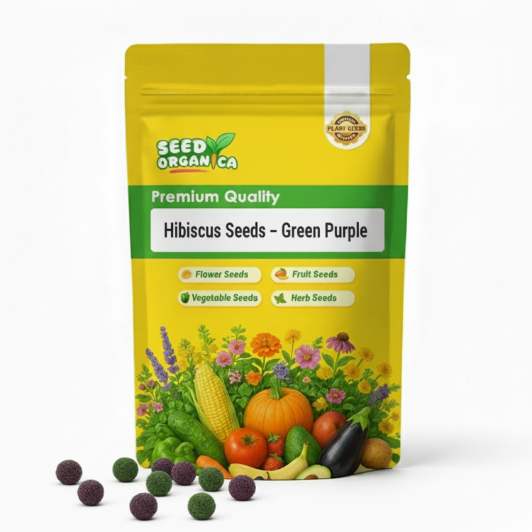 Hibiscus Seeds – Green Purple