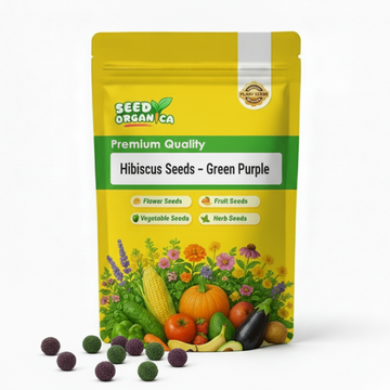 Hibiscus Seeds – Green Purple