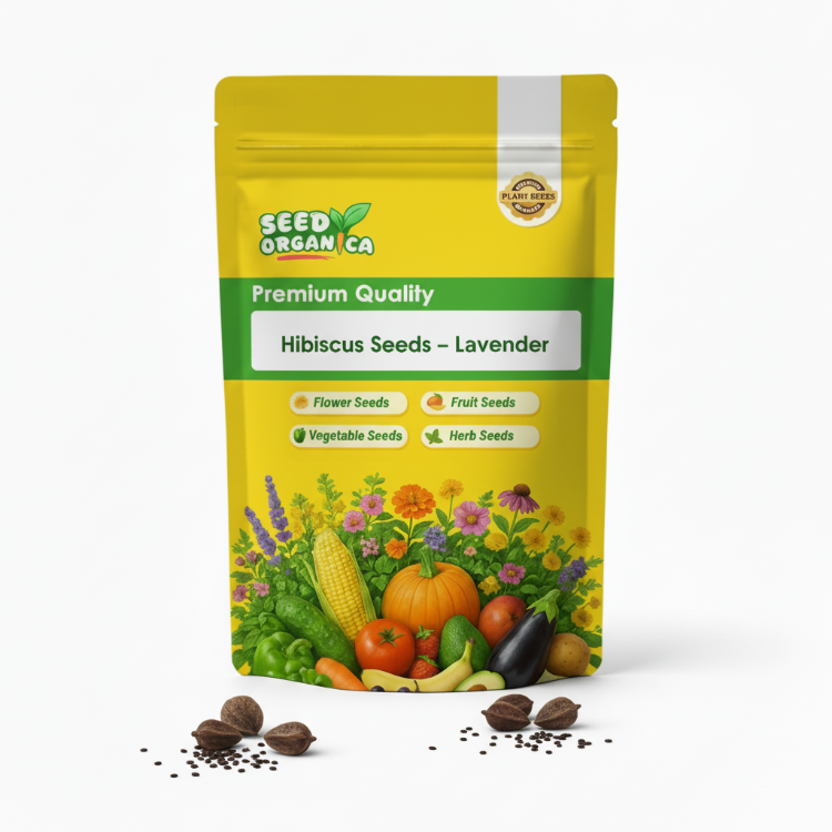 Hibiscus Seeds – Lavender