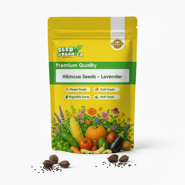 Hibiscus Seeds – Lavender