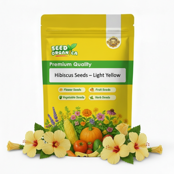 Hibiscus Seeds – Light Yellow