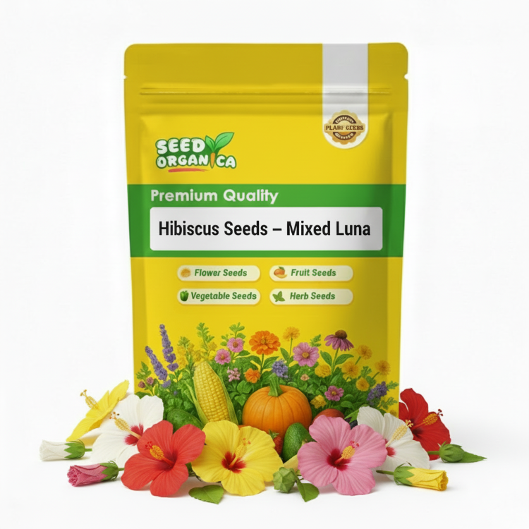 Hibiscus Seeds – Mixed Luna