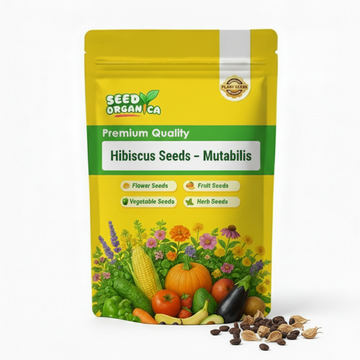 Hibiscus Seeds – Mutabilis
