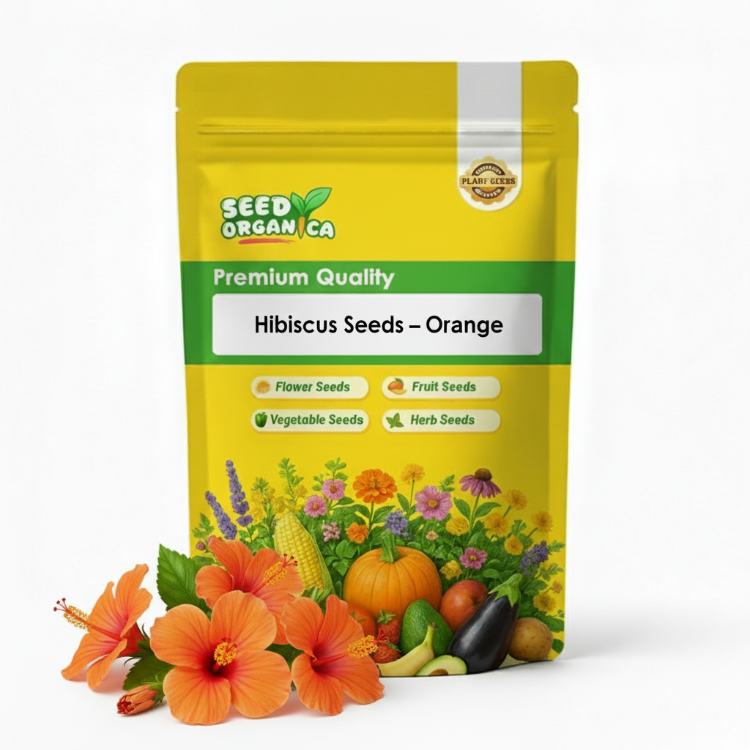 Hibiscus Seeds – Orange