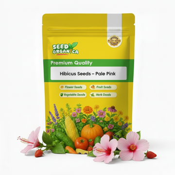 Hibiscus Seeds – Pale Pink