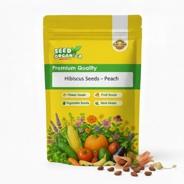Hibiscus Seeds – Peach