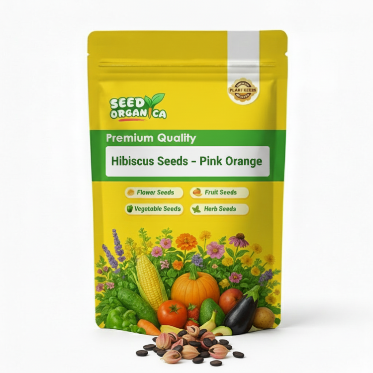 Hibiscus Seeds – Pink Orange