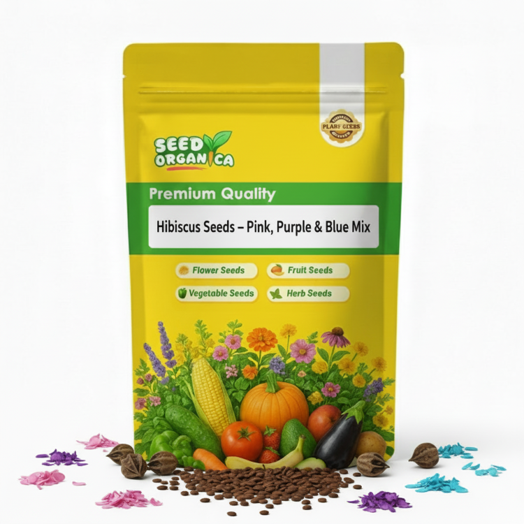Hibiscus Seeds – Pink, Purple & Blue Mix
